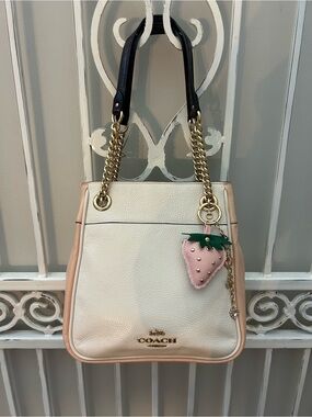Coach Cammie Pebbled Leather Colorblock Chain Shoulder Bag Ivory Blush CA430